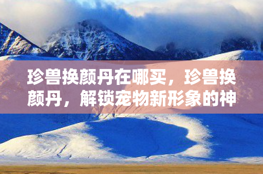 珍兽换颜丹在哪买，珍兽换颜丹，解锁宠物新形象的神秘钥匙