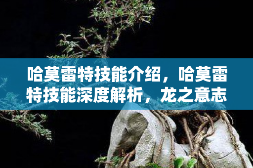 哈莫雷特技能介绍,哈莫雷特技能深度解析,龙之意志与星辰之怒 哈莫雷特技能介绍,哈莫雷特技能深度解析,龙之意志与星辰之怒