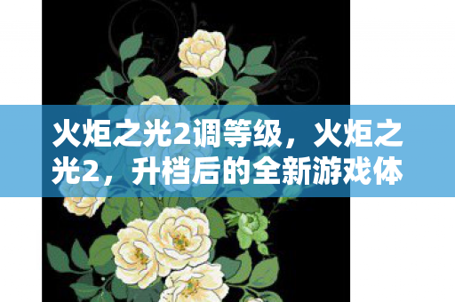 火炬之光2调等级，火炬之光2，升档后的全新游戏体验