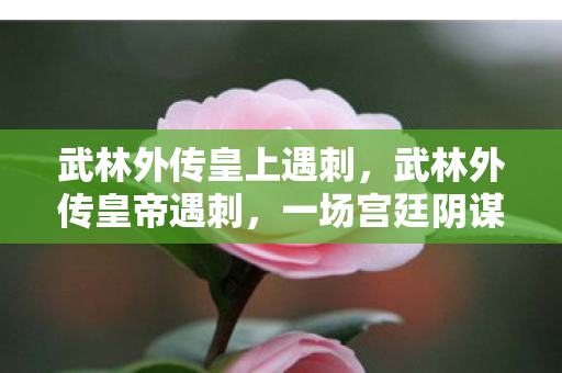 武林外传皇上遇刺，武林外传皇帝遇刺，一场宫廷阴谋的揭秘