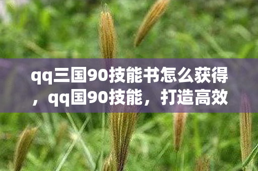 qq三国90技能书怎么获得，qq国90技能，打造高效战斗力的关键