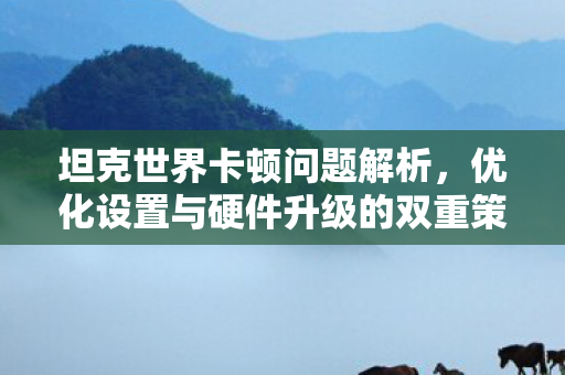 坦克世界卡顿问题解析,优化设置与硬件升级的双重策略 坦克世界卡顿问题解析,优化设置与硬件升级的双重策略