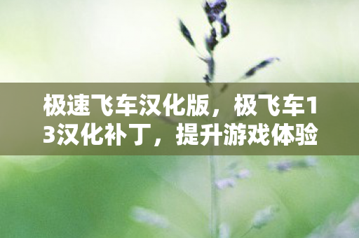 极速飞车汉化版,极飞车13汉化补丁,提升游戏体验的必备利器 极速飞车汉化版,极飞车13汉化补丁,提升游戏体验的必备利器