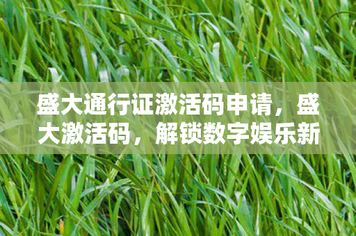 盛大通行证激活码申请,盛大激活码,解锁数字娱乐新世界的钥匙 盛大通行证激活码申请,盛大激活码,解锁数字娱乐新世界的钥匙