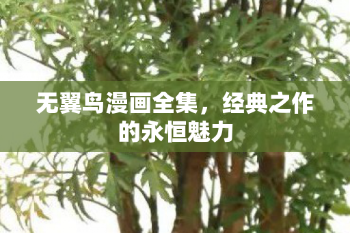 无翼鸟漫画全集，经典之作的永恒魅力