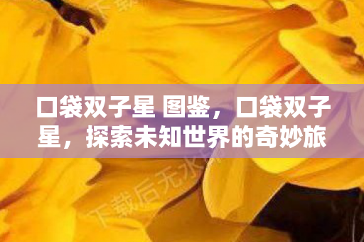 口袋双子星 图鉴，口袋双子星，探索未知世界的奇妙旅程