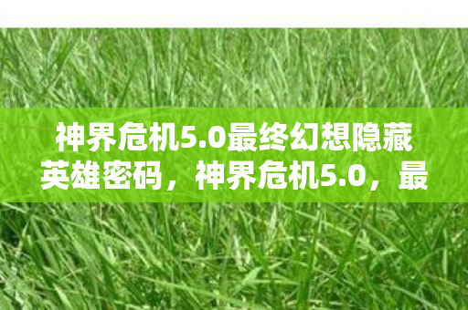 神界危机5.0最终幻想隐藏英雄密码,神界危机5.0,最终幻想的奇幻之旅 神界危机5.0最终幻想隐藏英雄密码,神界危机5.0,最终幻想的奇幻之旅