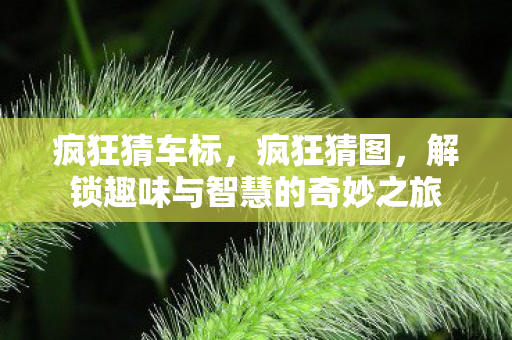 疯狂猜车标,疯狂猜图,解锁趣味与智慧的奇妙之旅 疯狂猜车标,疯狂猜图,解锁趣味与智慧的奇妙之旅