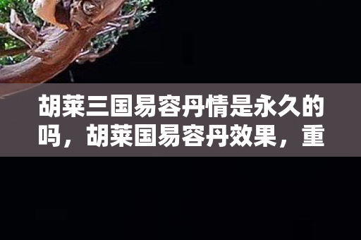 胡莱三国易容丹情是永久的吗，胡莱国易容丹效果，重塑角色，开启全新冒险
