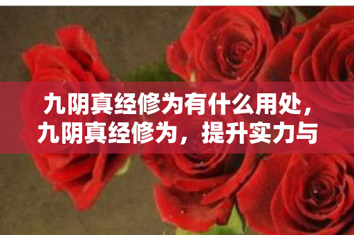 九阴真经修为有什么用处,九阴真经修为,提升实力与境界的钥匙 九阴真经修为有什么用处,九阴真经修为,提升实力与境界的钥匙