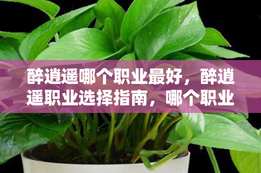 醉逍遥哪个职业最好,醉逍遥职业选择指南,哪个职业最适合你? 醉逍遥哪个职业最好,醉逍遥职业选择指南,哪个职业最适合你?