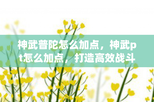 神武普陀怎么加点,神武pt怎么加点,打造高效战斗力的全面指南 神武普陀怎么加点,神武pt怎么加点,打造高效战斗力的全面指南