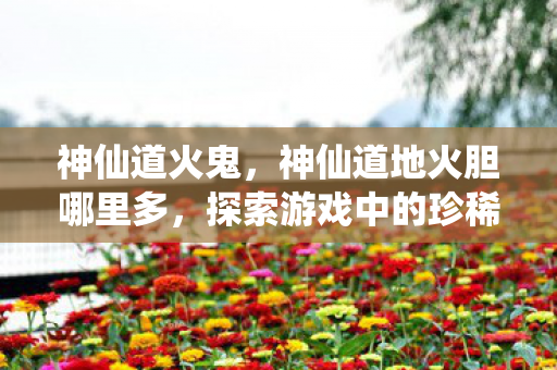 神仙道火鬼,神仙道地火胆哪里多,探索游戏中的珍稀资源 神仙道火鬼,神仙道地火胆哪里多,探索游戏中的珍稀资源