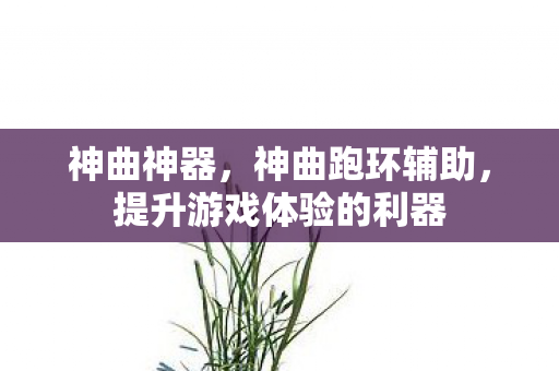 神曲神器，神曲跑环辅助，提升游戏体验的利器