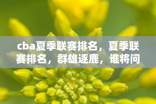 cba夏季联赛排名，夏季联赛排名，群雄逐鹿，谁将问鼎？