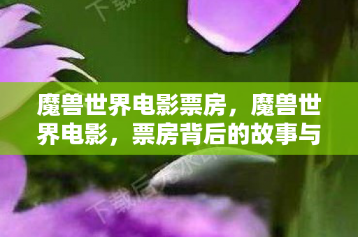 魔兽世界电影票房，魔兽世界电影，票房背后的故事与影响