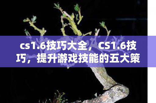 cs1.6技巧大全，CS1.6技巧，提升游戏技能的五大策略