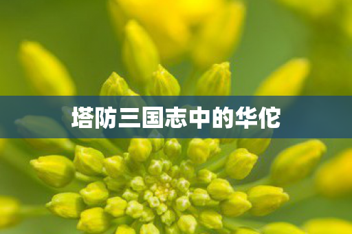 塔防三国志中的华佗 塔防三国志中的华佗