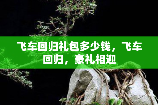 飞车回归礼包多少钱,飞车回归,豪礼相迎 飞车回归礼包多少钱,飞车回归,豪礼相迎
