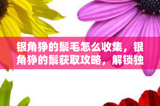银角狰的鬃毛怎么收集，银角狰的鬃获取攻略，解锁独特外观的秘诀