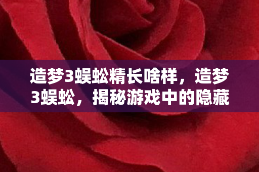 造梦3蜈蚣精长啥样，造梦3蜈蚣，揭秘游戏中的隐藏BOSS与独特挑战