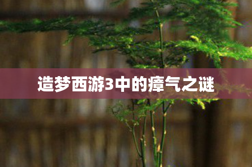 造梦西游3中的瘴气之谜