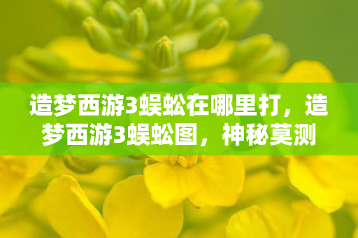 造梦西游3蜈蚣在哪里打,造梦西游3蜈蚣图,神秘莫测的奇幻之旅 造梦西游3蜈蚣在哪里打,造梦西游3蜈蚣图,神秘莫测的奇幻之旅