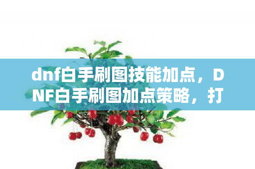 dnf白手刷图技能加点，DNF白手刷图加点策略，打造高效战斗体验