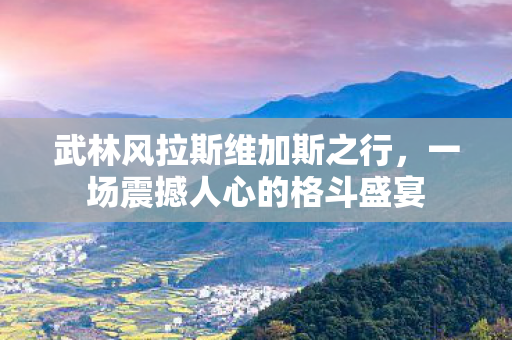 武林风拉斯维加斯之行,一场震撼人心的格斗盛宴 武林风拉斯维加斯之行,一场震撼人心的格斗盛宴