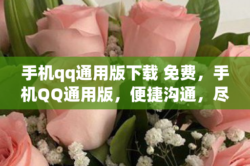 手机qq通用版下载 免费，手机QQ通用版，便捷沟通，尽享数字生活新体验