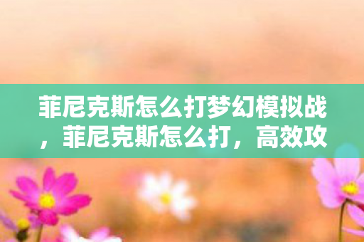 菲尼克斯怎么打梦幻模拟战，菲尼克斯怎么打，高效攻略与技巧分享