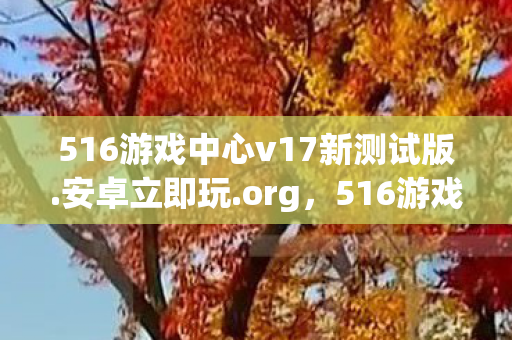 516游戏中心v17新测试版.安卓立即玩.org，516游戏中心，打造安全、便捷的游戏体验