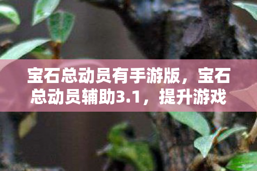宝石总动员有手游版，宝石总动员辅助3.1，提升游戏体验的必备神器