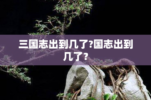 三国志出到几了?国志出到几了？
