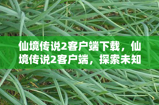 仙境传说2客户端下载,仙境传说2客户端,探索未知世界的奇妙之旅 仙境传说2客户端下载,仙境传说2客户端,探索未知世界的奇妙之旅