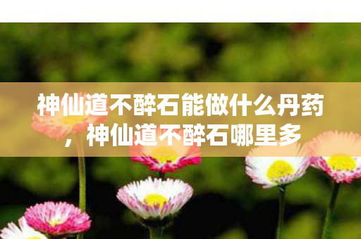 神仙道不醉石能做什么丹药，神仙道不醉石哪里多