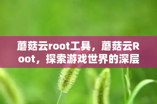 蘑菇云root工具，蘑菇云Root，探索游戏世界的深层奥秘