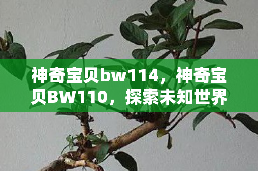 神奇宝贝bw114，神奇宝贝BW110，探索未知世界的奇幻之旅