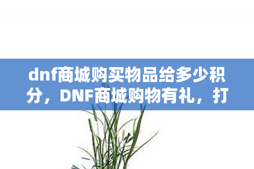dnf商城购买物品给多少积分，DNF商城购物有礼，打造你的专属游戏乐园
