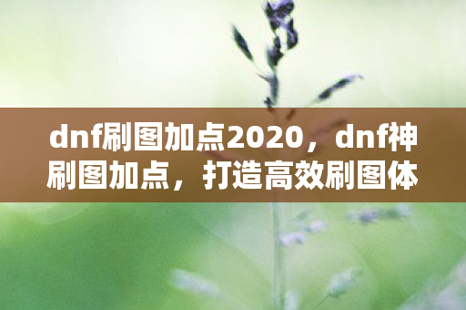 dnf刷图加点2020,dnf神刷图加点,打造高效刷图体验 dnf刷图加点2020,dnf神刷图加点,打造高效刷图体验