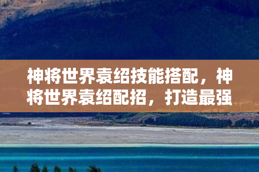 神将世界袁绍技能搭配，神将世界袁绍配招，打造最强战斗阵容