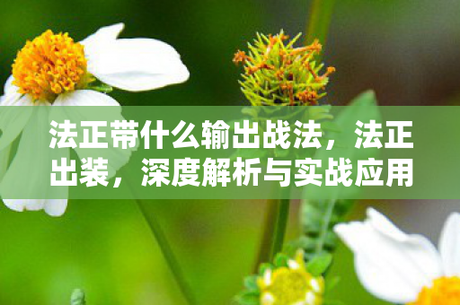法正带什么输出战法,法正出装,深度解析与实战应用 法正带什么输出战法,法正出装,深度解析与实战应用