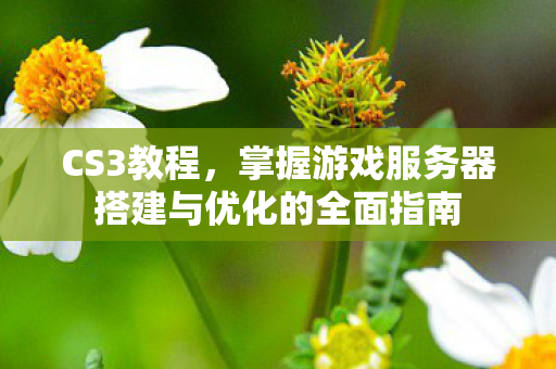 CS3教程,掌握游戏服务器搭建与优化的全面指南 CS3教程,掌握游戏服务器搭建与优化的全面指南