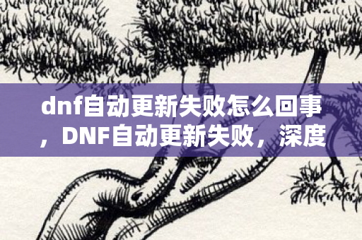 dnf自动更新失败怎么回事,DNF自动更新失败,深度解析与解决方案 dnf自动更新失败怎么回事,DNF自动更新失败,深度解析与解决方案