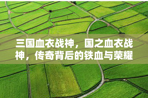 三国血衣战神,国之血衣战神,传奇背后的铁血与荣耀 三国血衣战神,国之血衣战神,传奇背后的铁血与荣耀