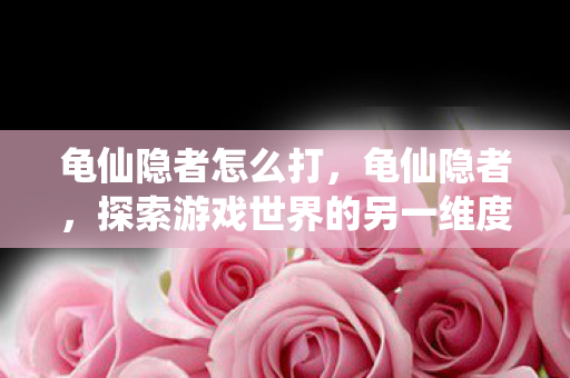 龟仙隐者怎么打，龟仙隐者，探索游戏世界的另一维度