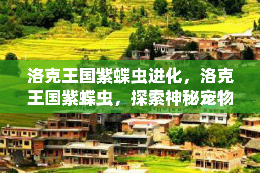 洛克王国紫蝶虫进化，洛克王国紫蝶虫，探索神秘宠物背后的故事
