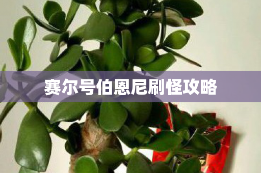 赛尔号伯恩尼刷怪攻略 赛尔号伯恩尼刷怪攻略