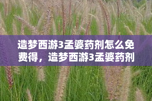 造梦西游3孟婆药剂怎么免费得,造梦西游3孟婆药剂,解锁角色新技能,助力西游之旅 造梦西游3孟婆药剂怎么免费得,造梦西游3孟婆药剂,解锁角色新技能,助力西游之旅