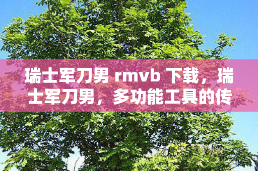 瑞士军刀男 rmvb 下载,瑞士军刀男,多功能工具的传奇故事 瑞士军刀男 rmvb 下载,瑞士军刀男,多功能工具的传奇故事
